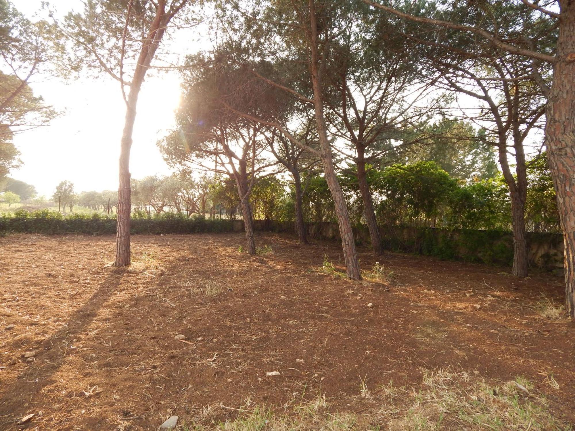 Turtle Island Apartments Santa Croce Camerina Exterior photo