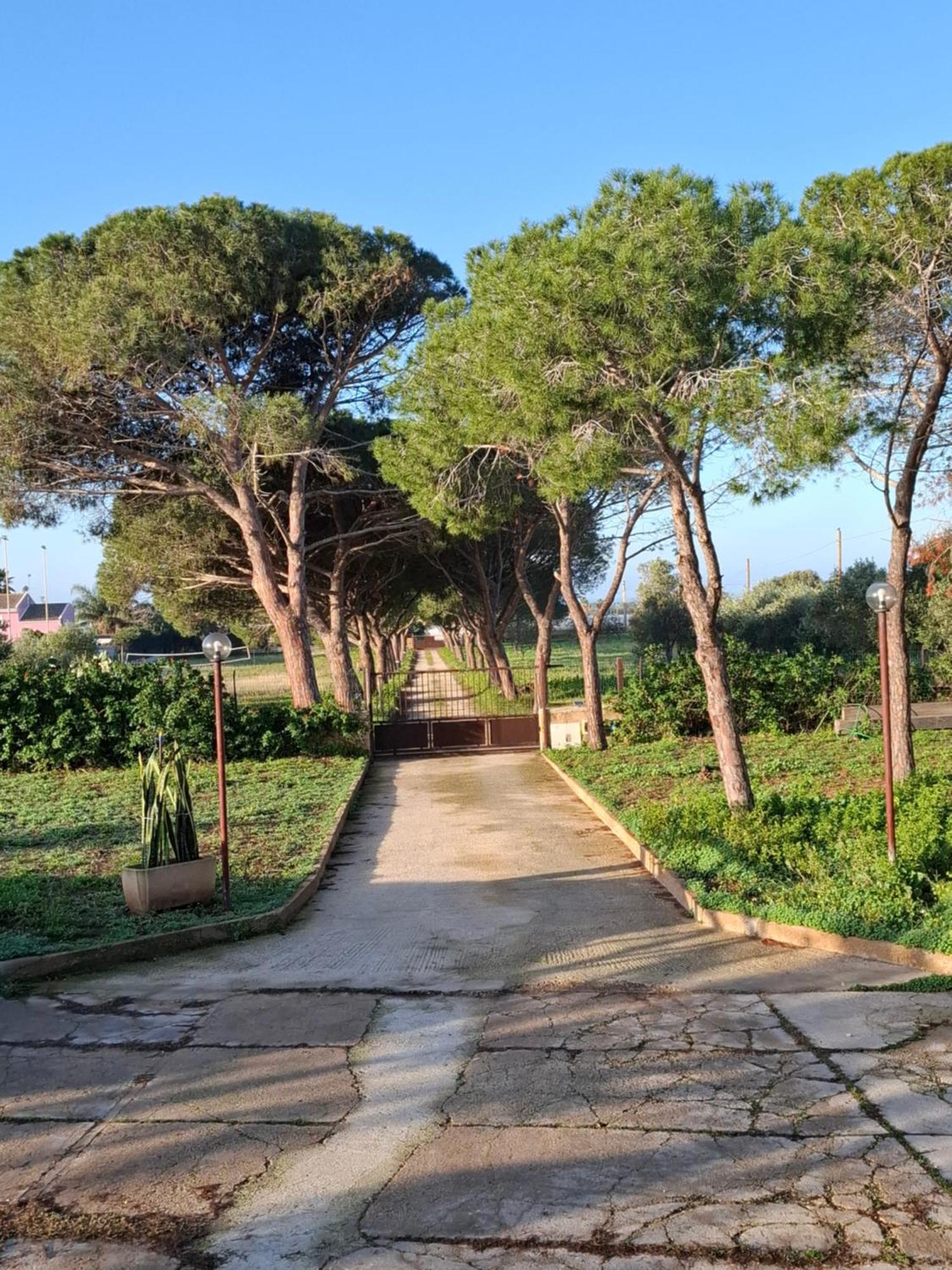 Turtle Island Apartments Santa Croce Camerina Exterior photo